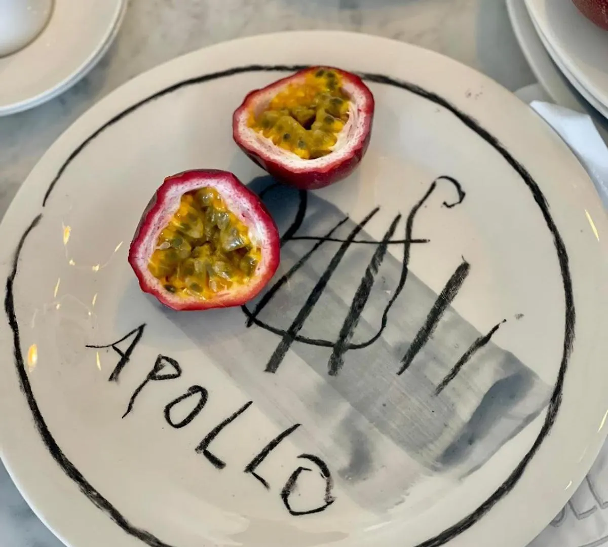 Apollo Suite Rovinj 0*,